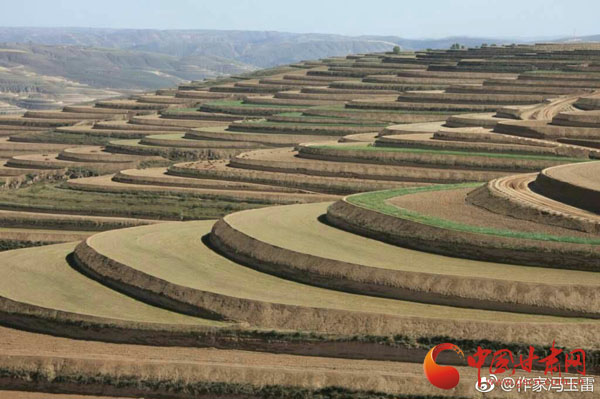 第十一次玉帛之路（陇东陕北道）专家考察手记丨环子午岭考察之十七：环县六记6（冯玉雷）