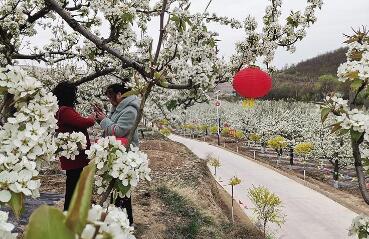 静宁推出三条乡村游精品线路