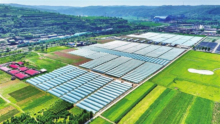 平凉市聚力打造西部现代精品农业样板区